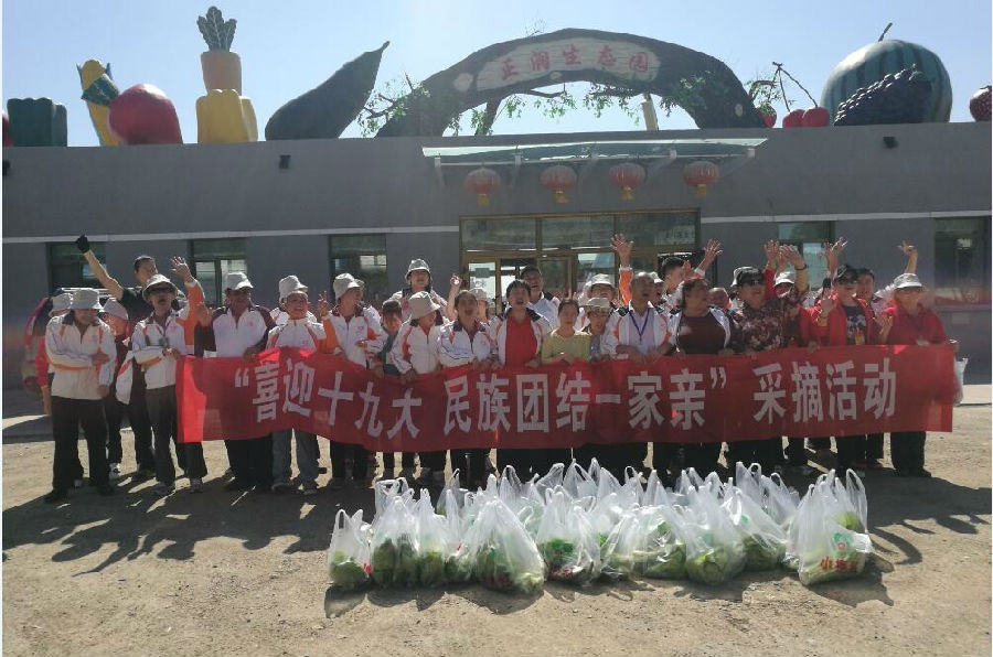 “喜迎十九大 民族团结一家亲”采摘活动.jpg