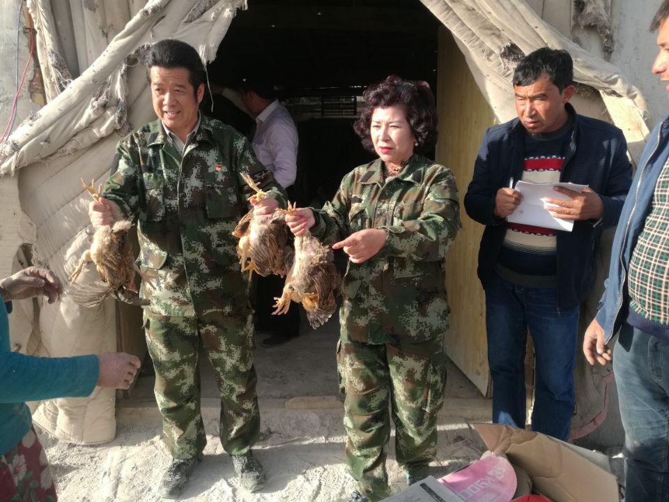 图片15.jpg